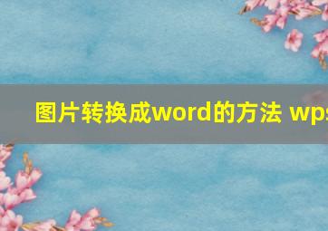 图片转换成word的方法 wps